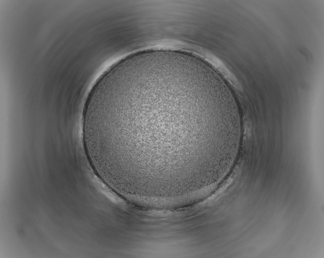 X0000112471232200908241226