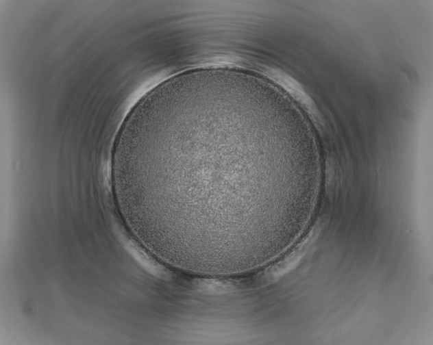 X0000112471234200908241226