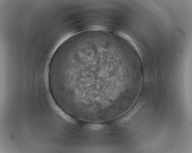 X0000112471235200908241226