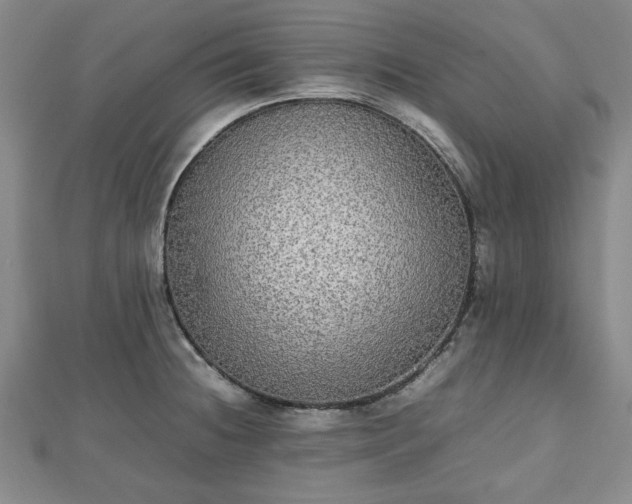 X0000112471236200908241226