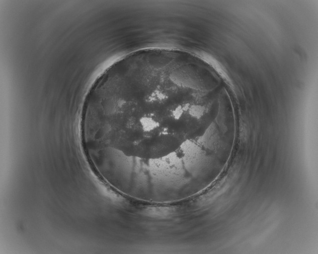 X0000112471237200908241226