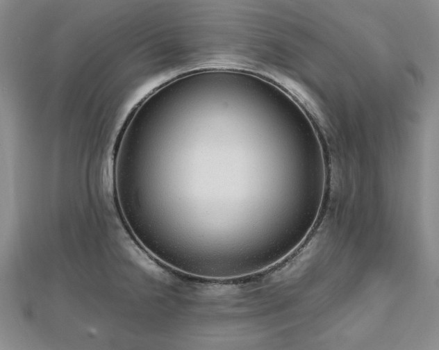 X0000112471238200908241226