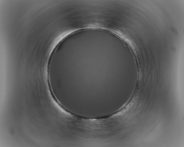 X0000112471239200908241226