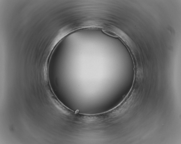 X0000112471242200908241226