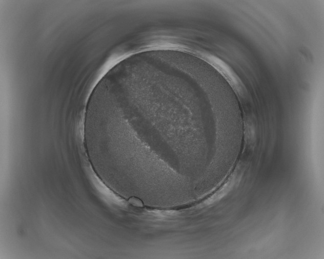 X0000112471244200908241226