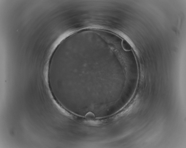 X0000112471245200908241226