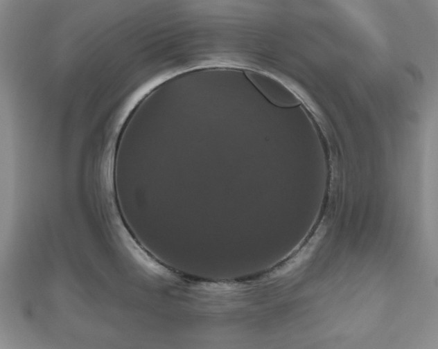 X0000112471246200908241226