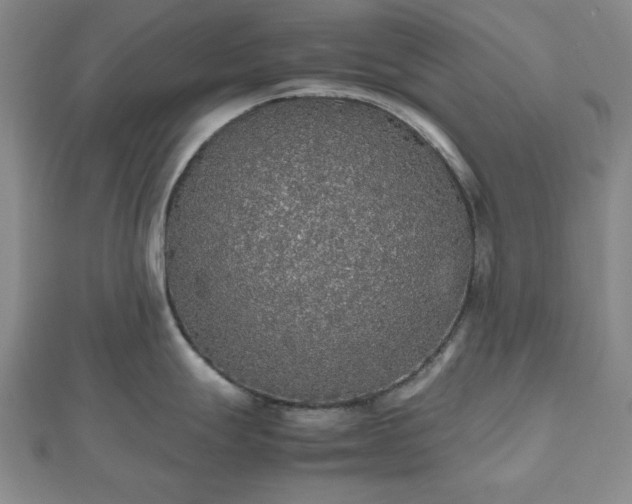 X0000112471247200908241226