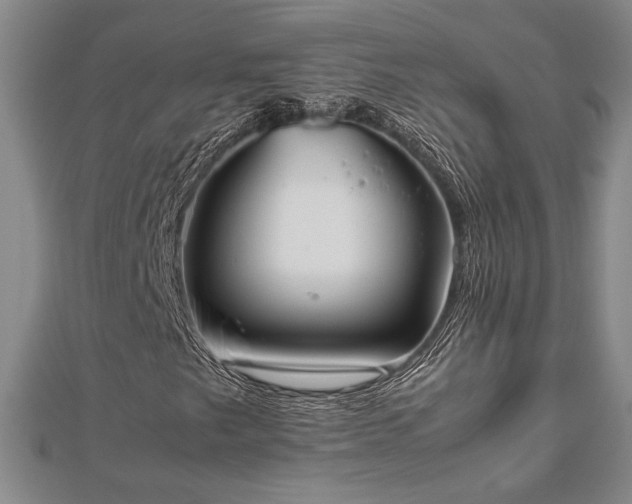 X0000112471249200908241225