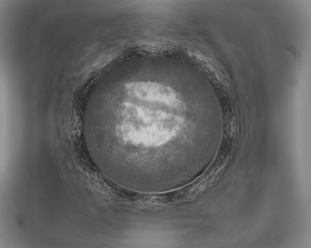 X0000112471253200908241225