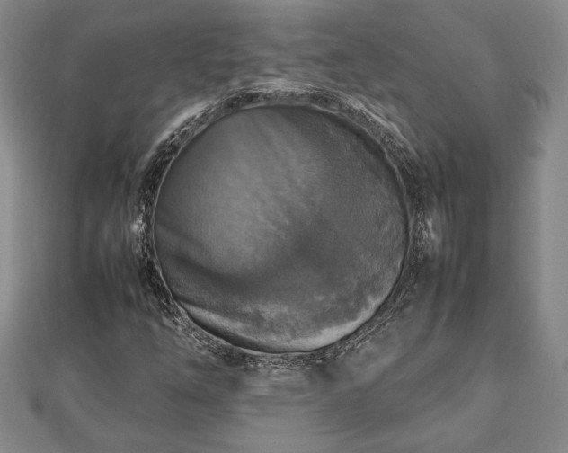 X0000112471254200908241225