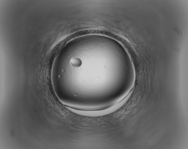 X0000112471255200908241225