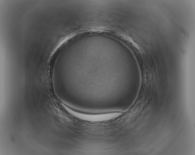 X0000112471256200908241225