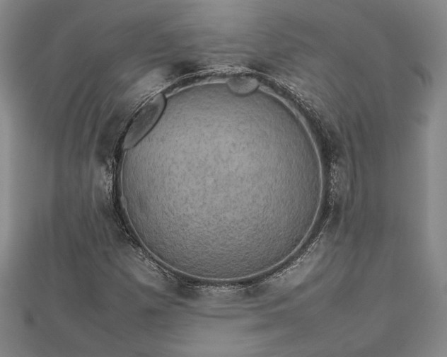 X0000112471257200908241225