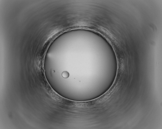 X0000112471258200908241225