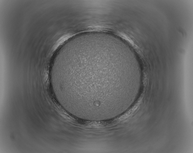 X0000112471259200908241225