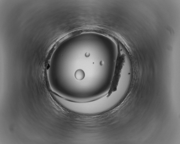 X0000112471260200908241225