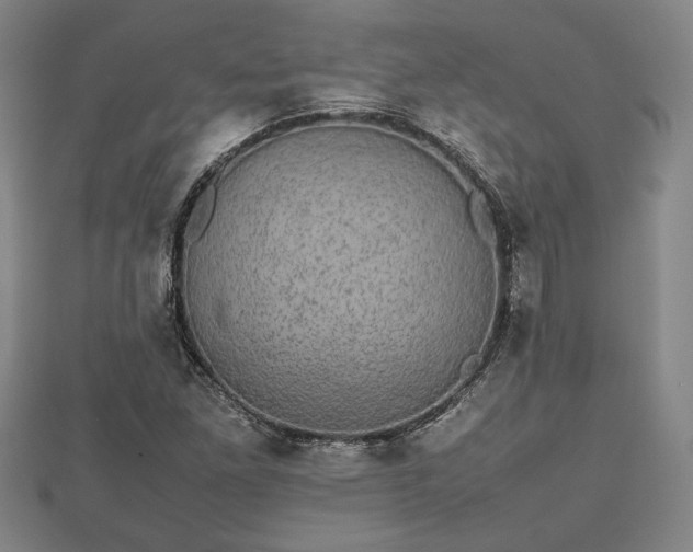 X0000112471261200908241225