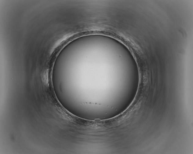 X0000112471262200908241225