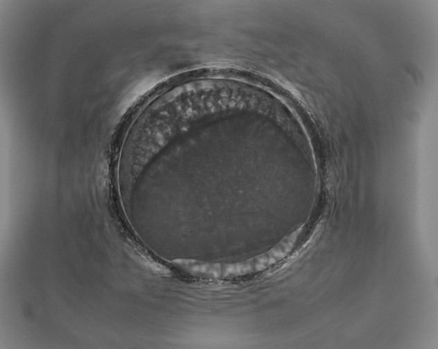 X0000112471263200908241225