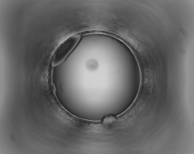 X0000112471264200908241225