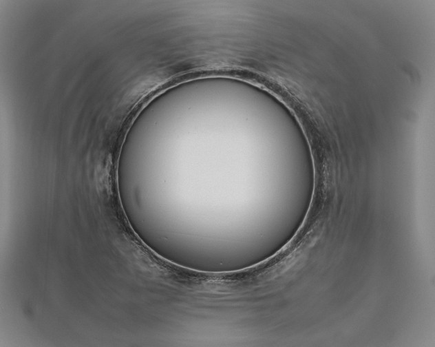 X0000112471265200908241225