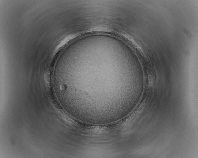 X0000112471266200908241225