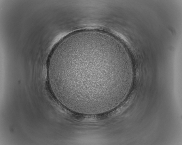 X0000112471267200908241225