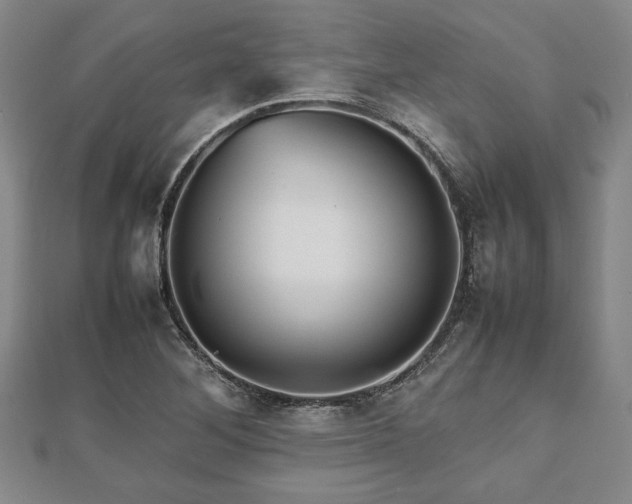 X0000112471268200908241225