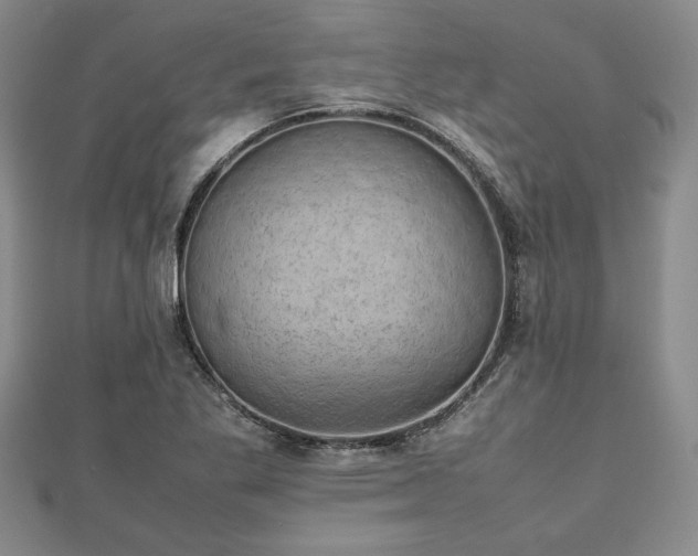 X0000112471269200908241225