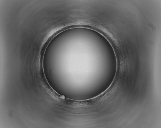 X0000112471270200908241225