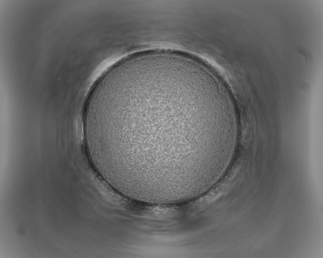 X0000112471271200908241225