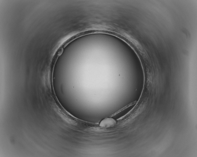 X0000112471272200908241225