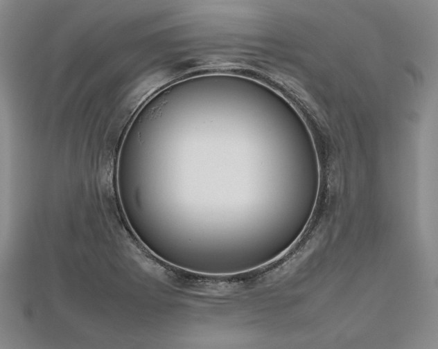 X0000112471273200908241225