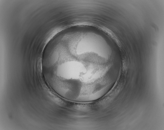 X0000112471274200908241225