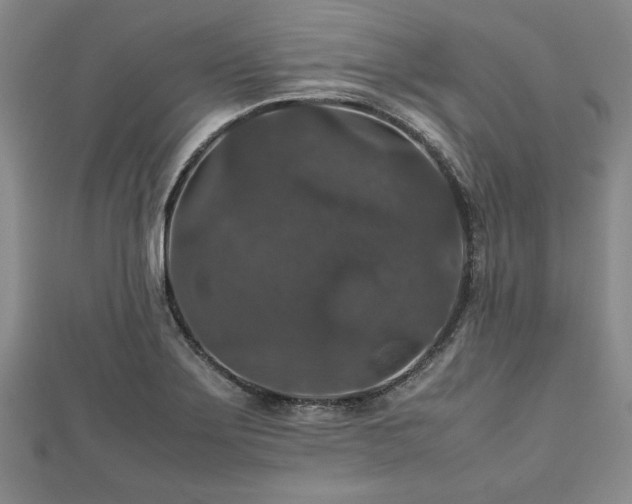 X0000112471275200908241225