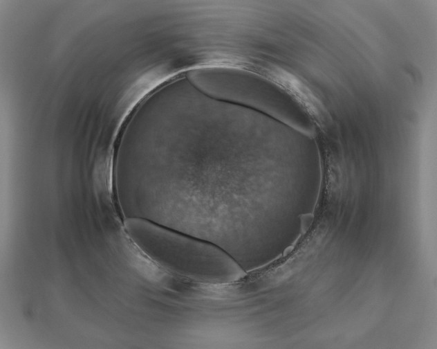 X0000112471276200908241225