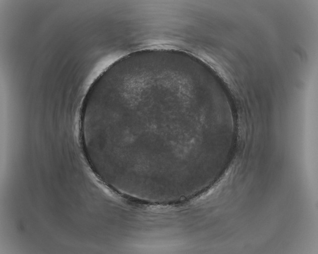 X0000112471277200908241225