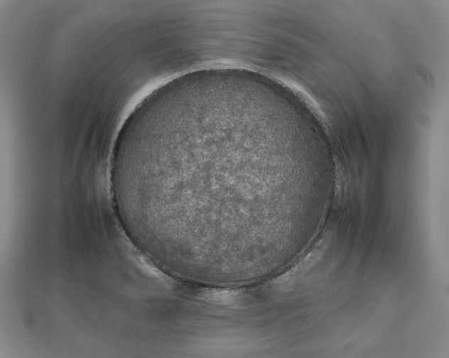 X0000112471278200908241225