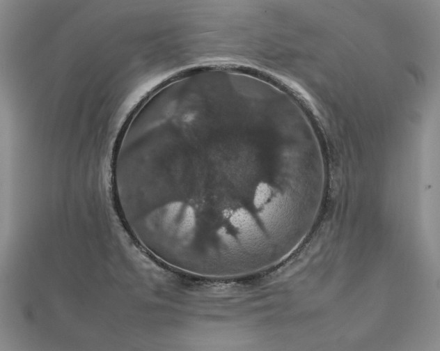 X0000112471279200908241225