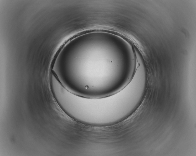 X0000112471280200908241225