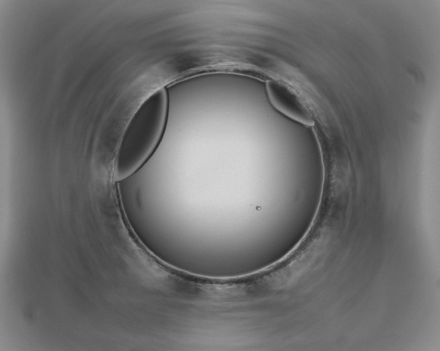 X0000112471281200908241225