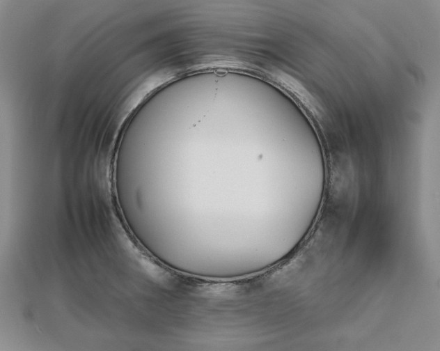 X0000112471282200908241225