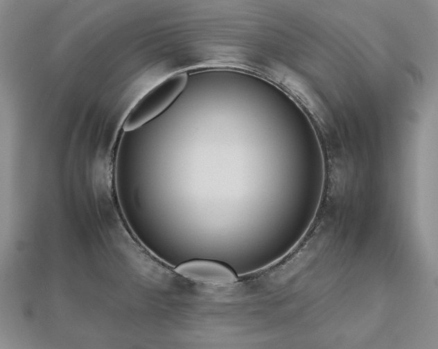 X0000112471284200908241225