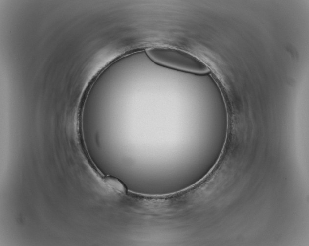 X0000112471285200908241225