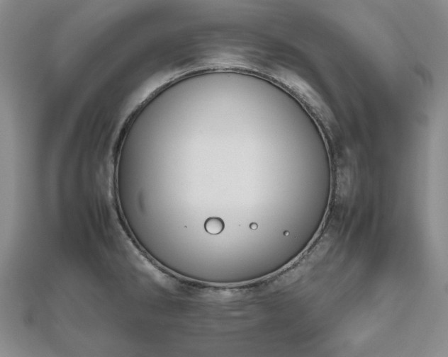 X0000112471286200908241225