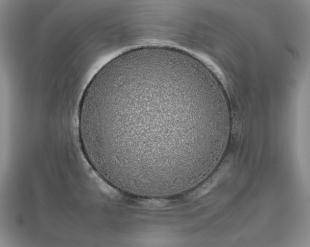 X0000112471287200908241225