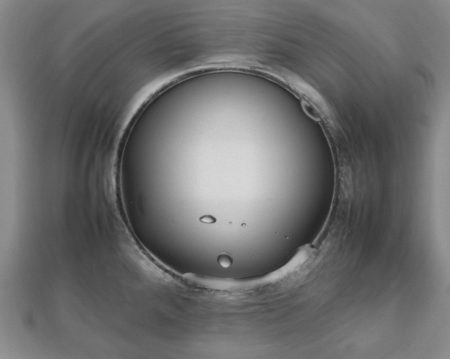 X0000112471288200908241225