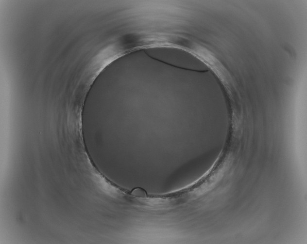 X0000112471289200908241225