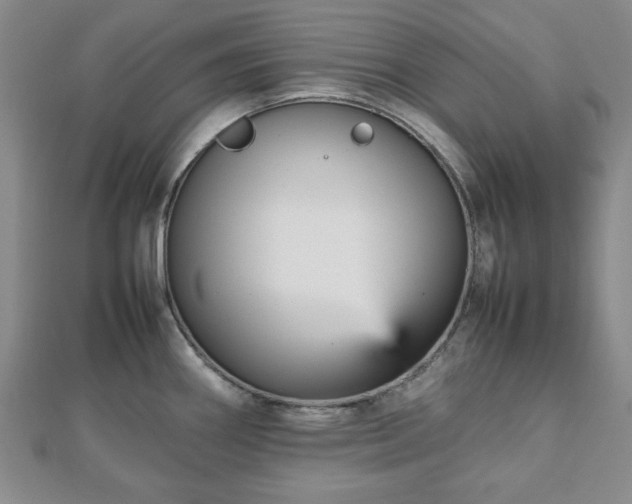 X0000112471290200908241225